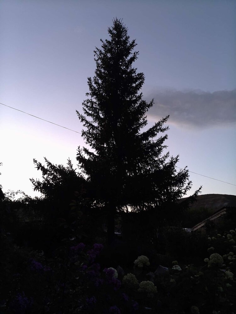 Photograph by Лилия Исхакова