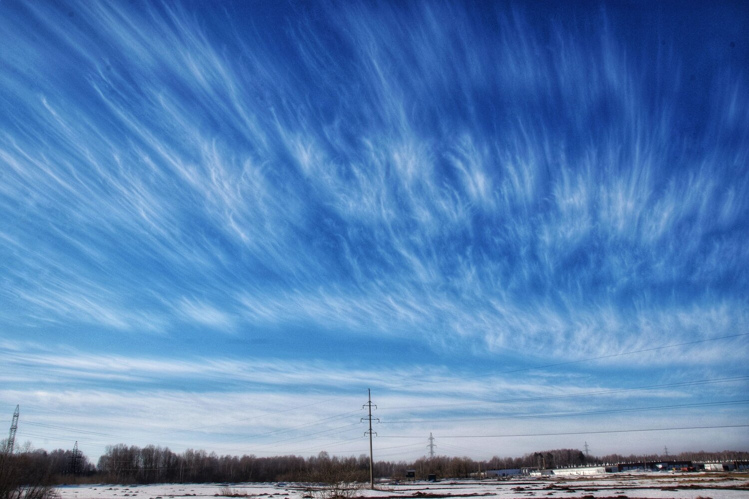 Photo #13974366