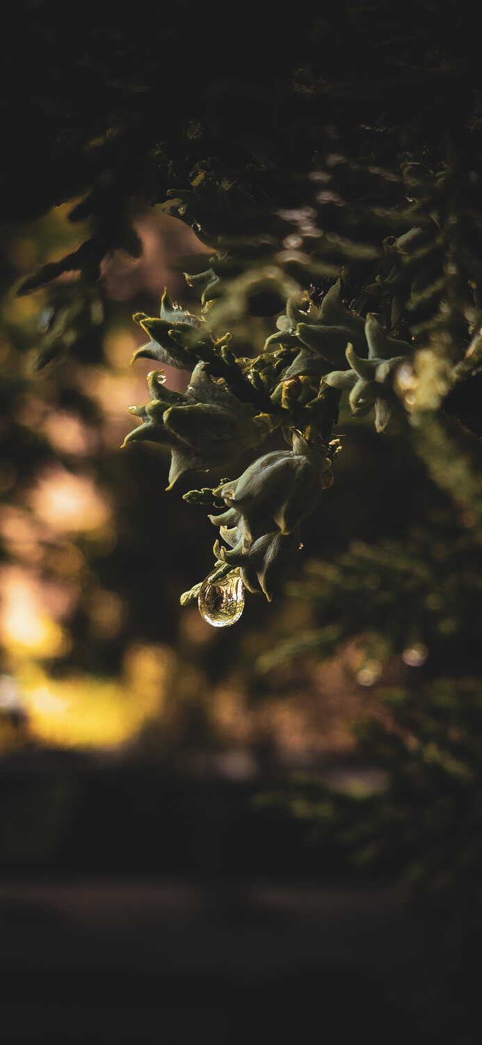 Photo #13974399