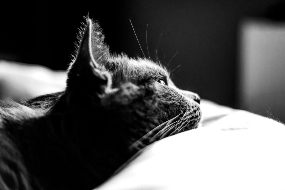 Photograph by Гущин Павел