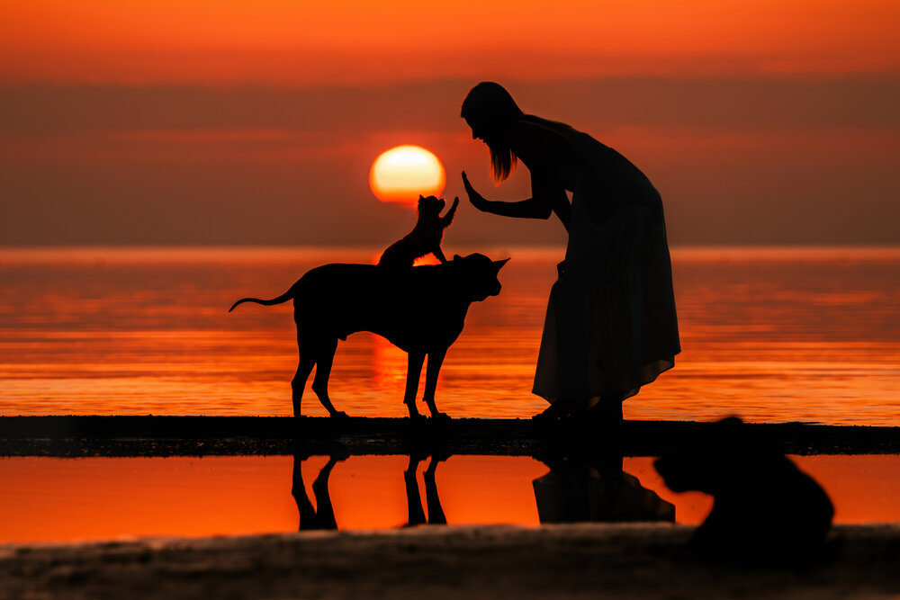 Photograph by Зубкова Юлия