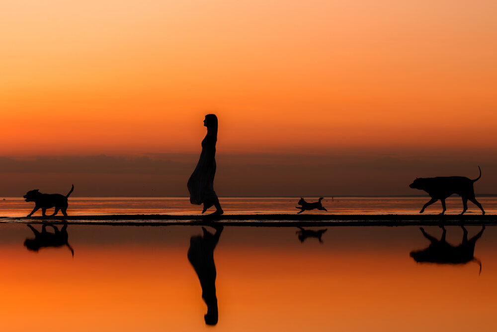 Photograph by Зубкова Юлия