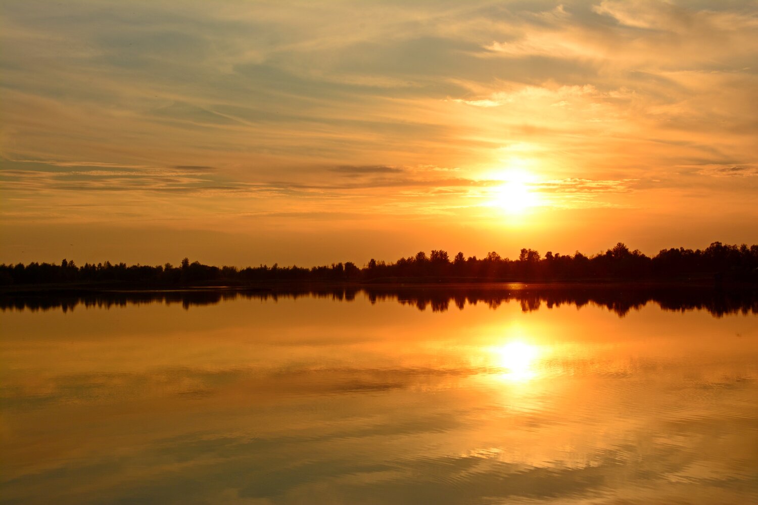 Photo #13974467