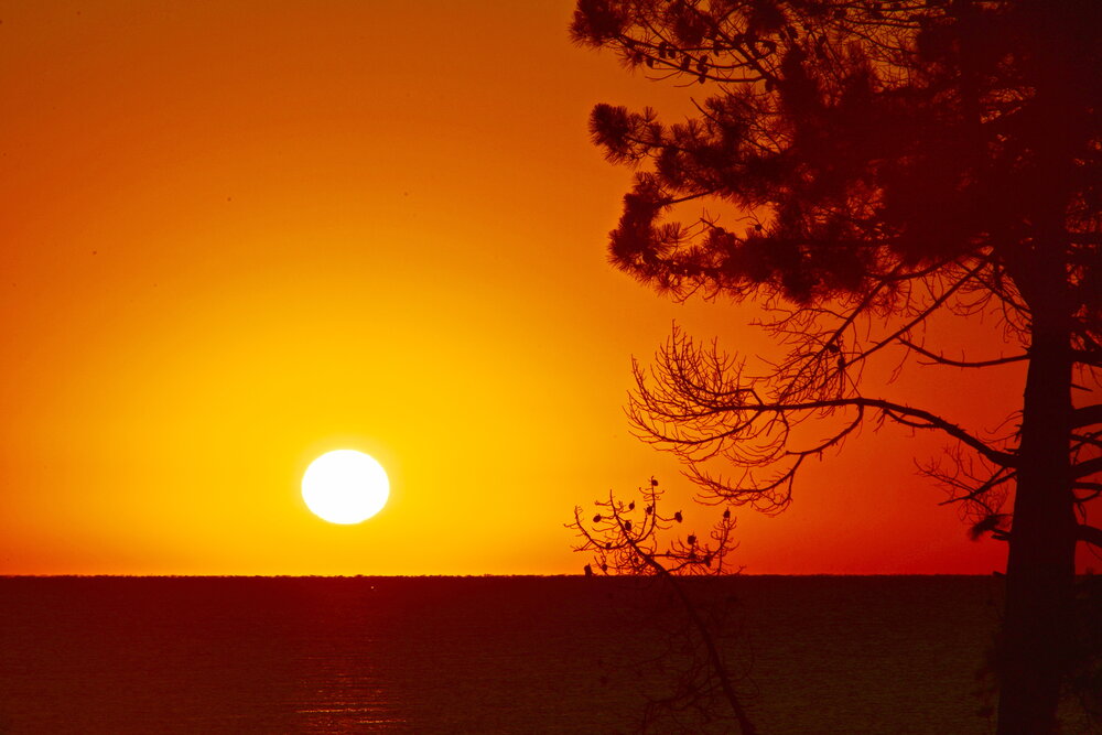 Photograph by Atanas Rakov