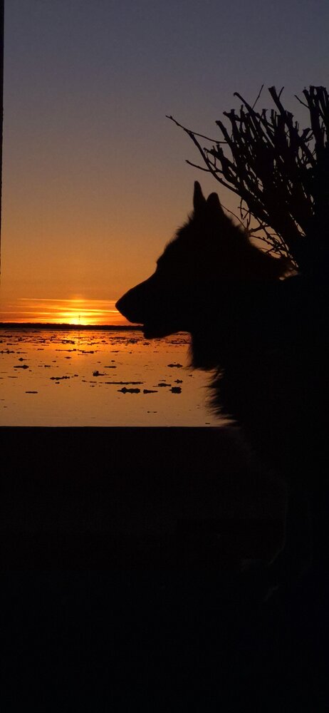 Photograph by Валентина Сергеева