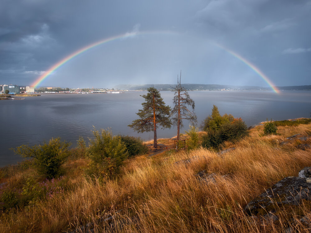 Фотография автора Мазурева Анастасия