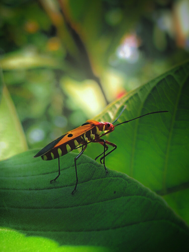 Photograph by Jyotiraditya Roy