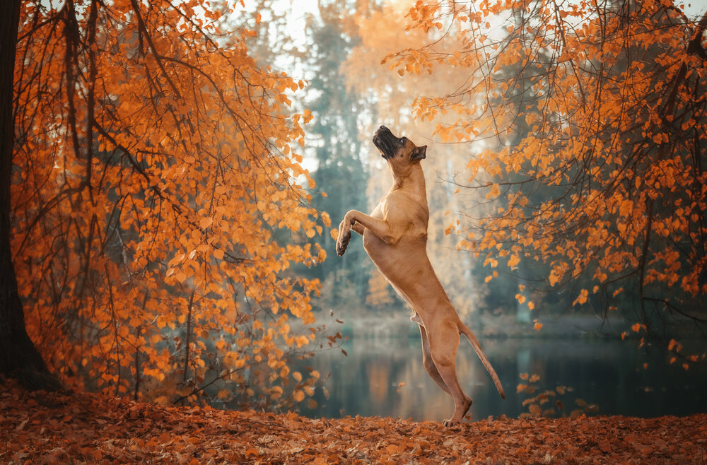 Photograph by Зубкова Юлия