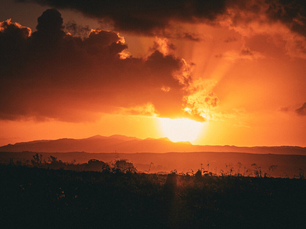 Photograph by Павел Овчаров