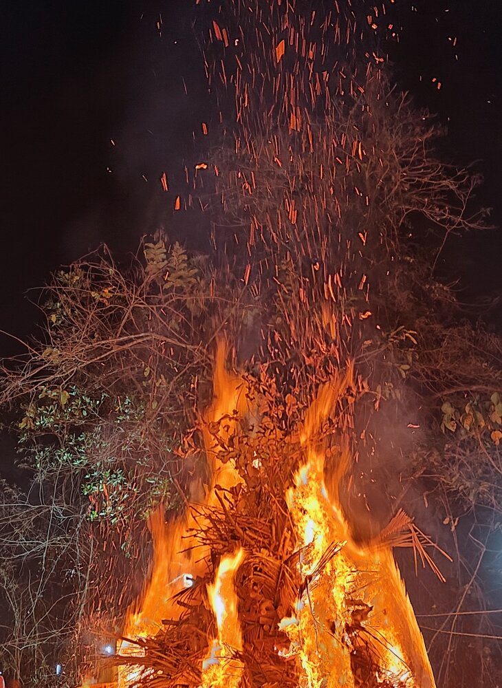 Photo #13974670
