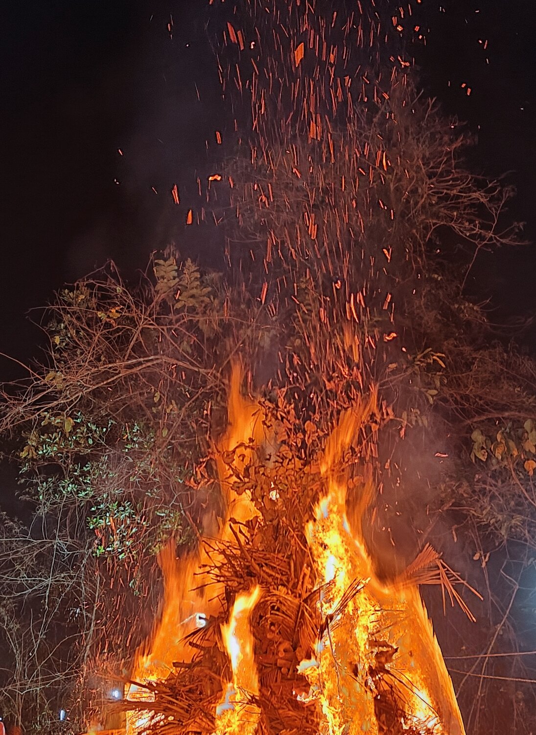 Photo #13974670