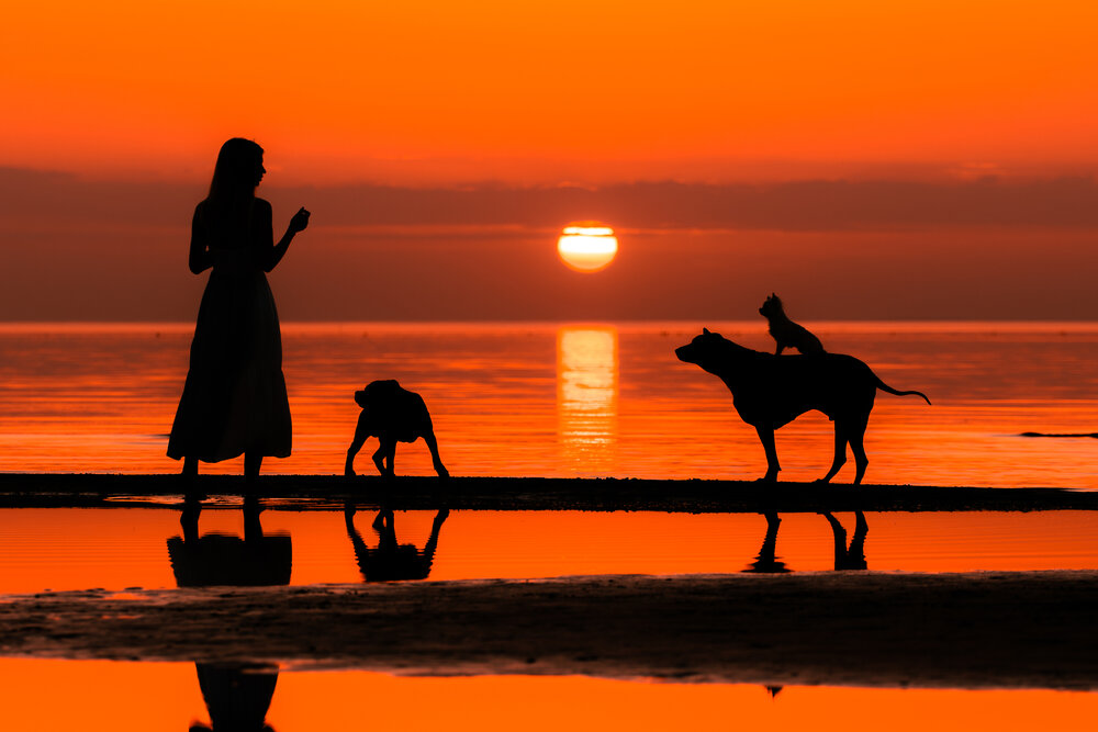 Photograph by Зубкова Юлия
