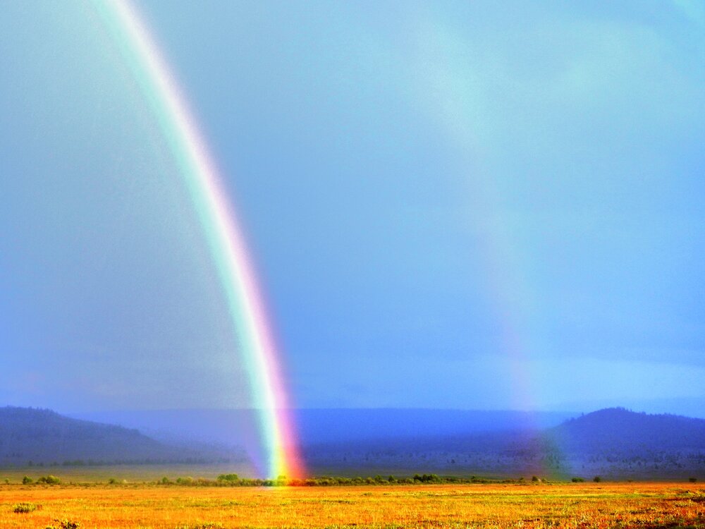 Photograph by Ulziisukh.T Т
