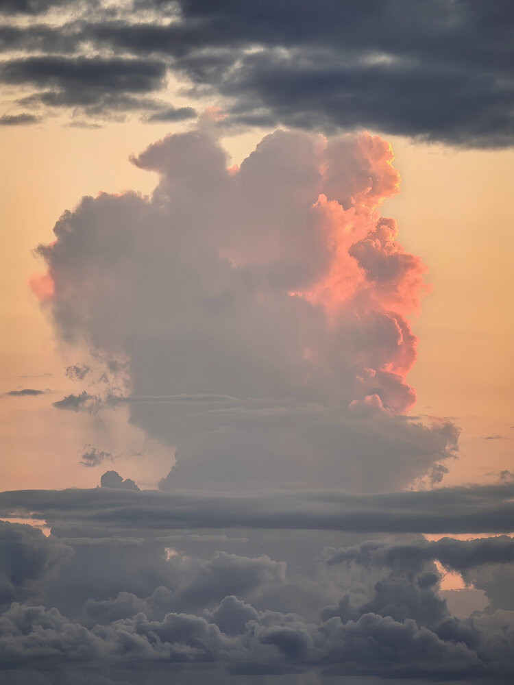 Photograph by Анастасия Сироткина