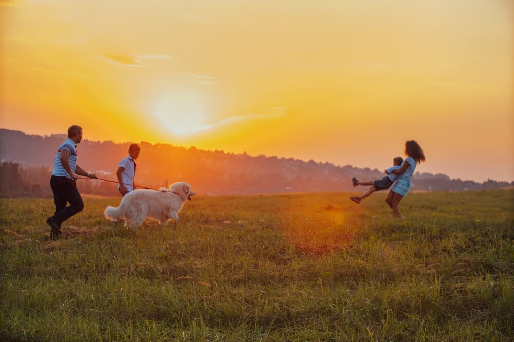 Photograph by Степоненкова Екатерина