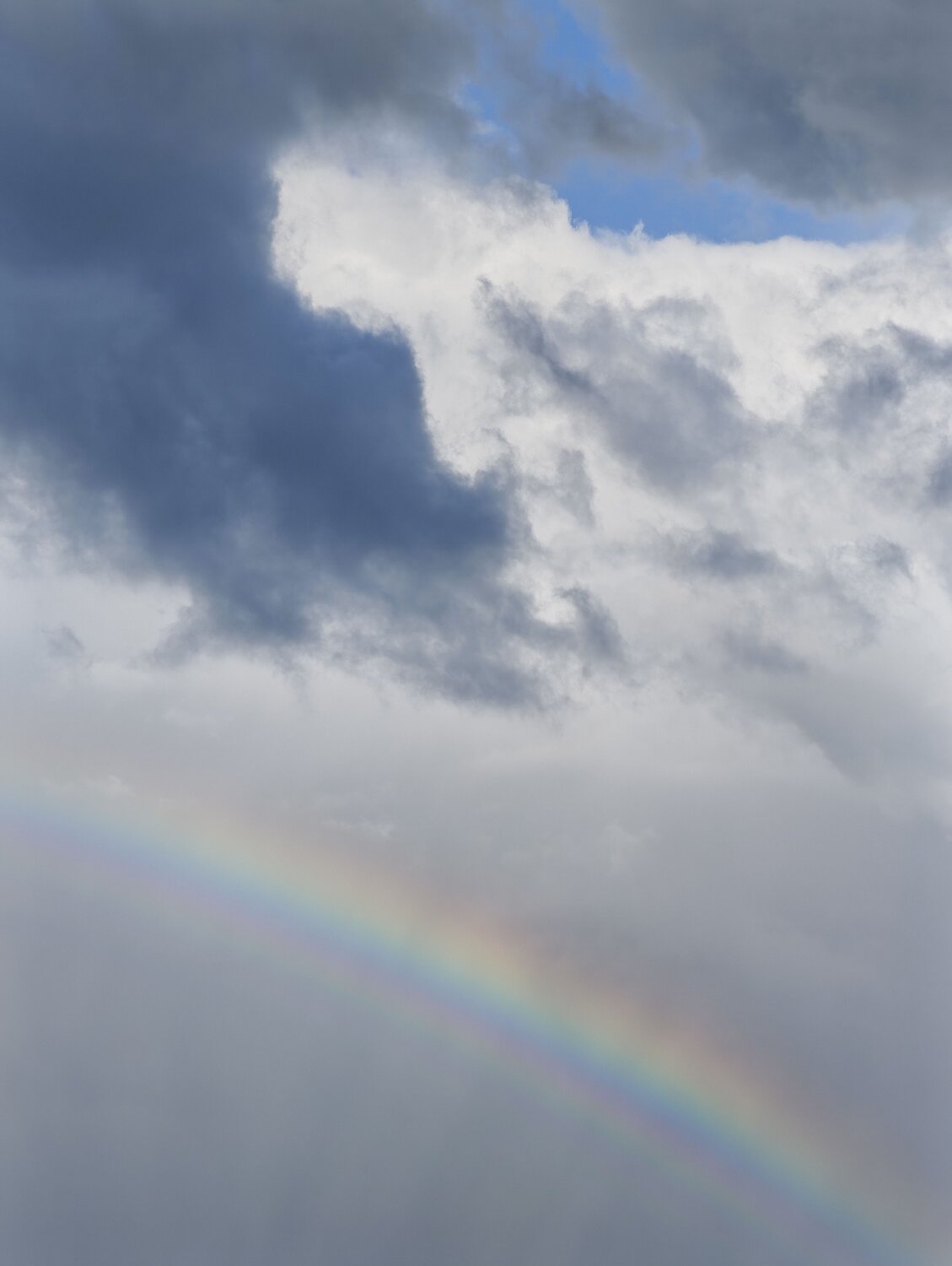Photo #13974845
