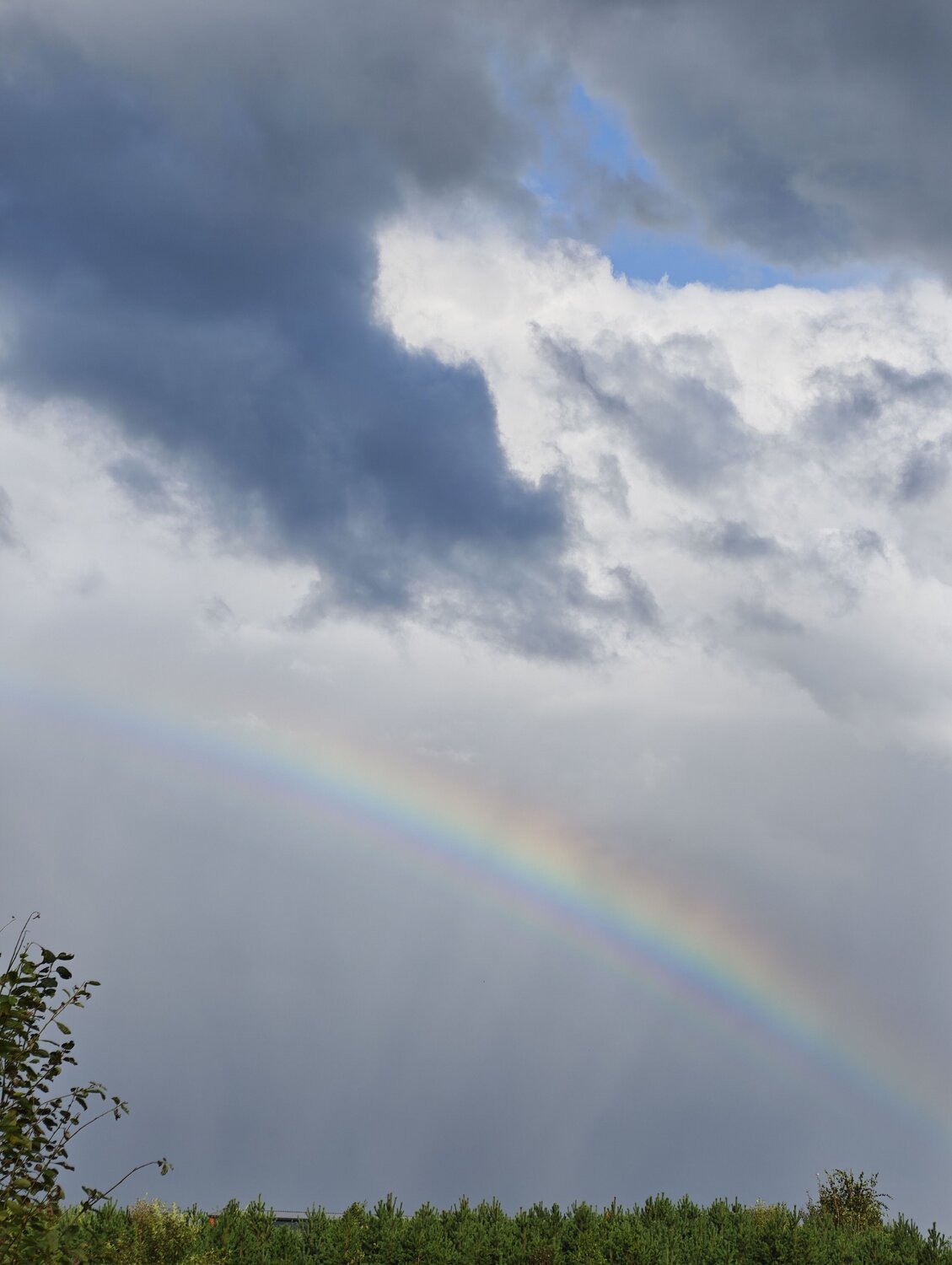 Photo #13974848