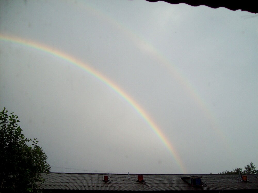 Photo #13974857