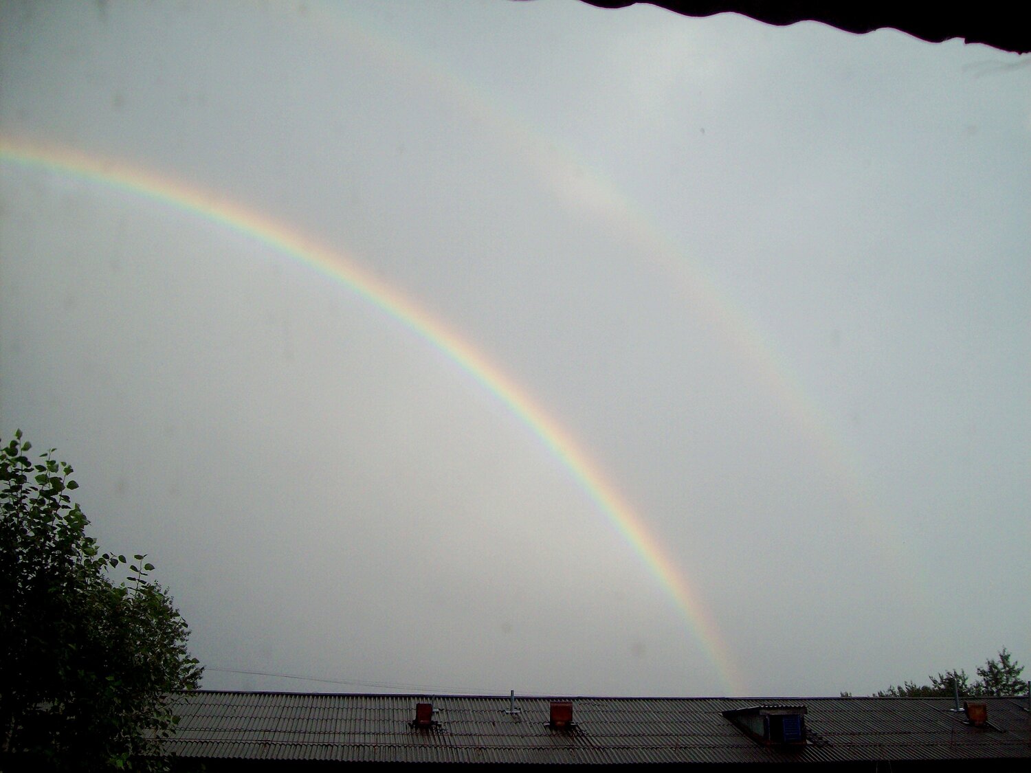 Photo #13974857
