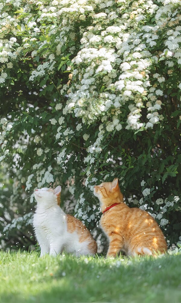 A Quiet Encounter