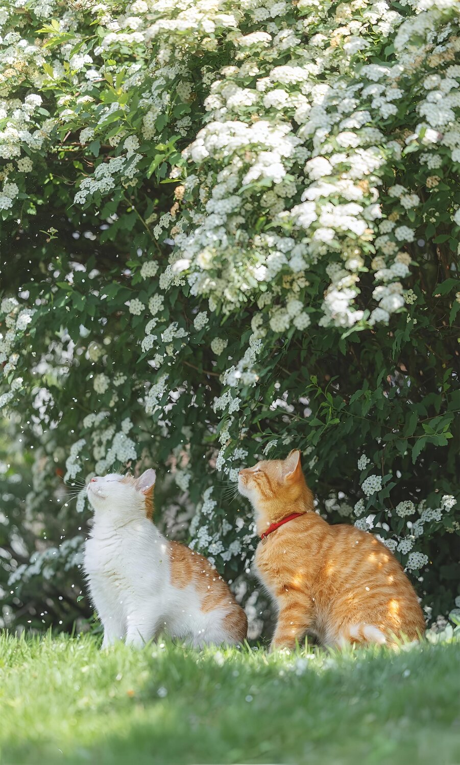 A Quiet Encounter