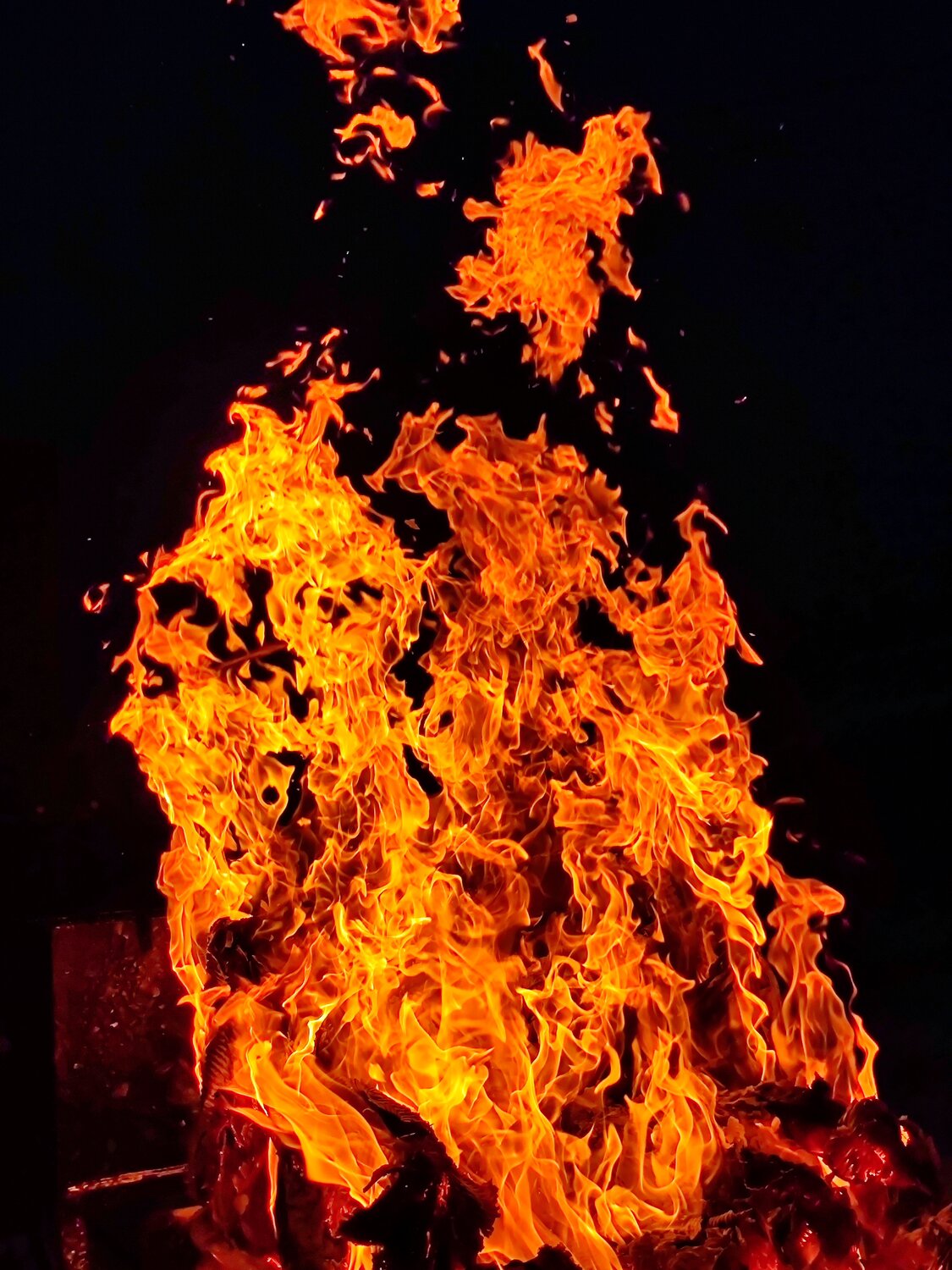 Photo #13974931