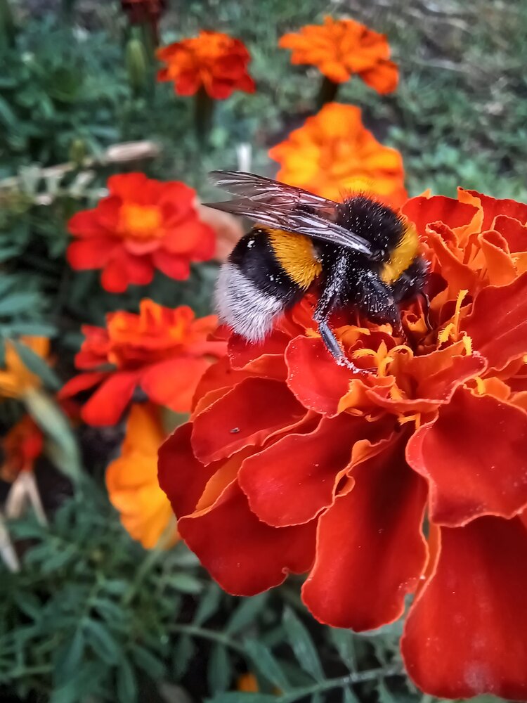Photograph by Наталья Григорьева