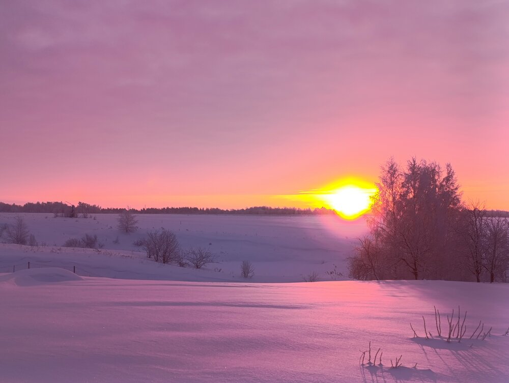 Photo #13975095