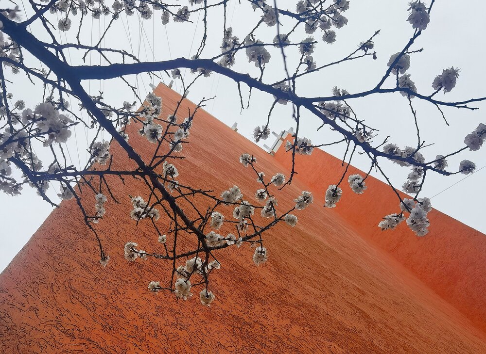 Photograph by Екатерина Кантая