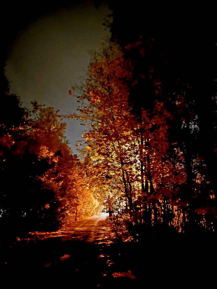 Photograph by Павел Алексеев