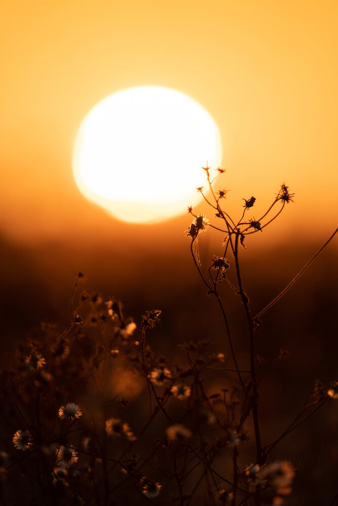 Photograph by Герман Крупенин