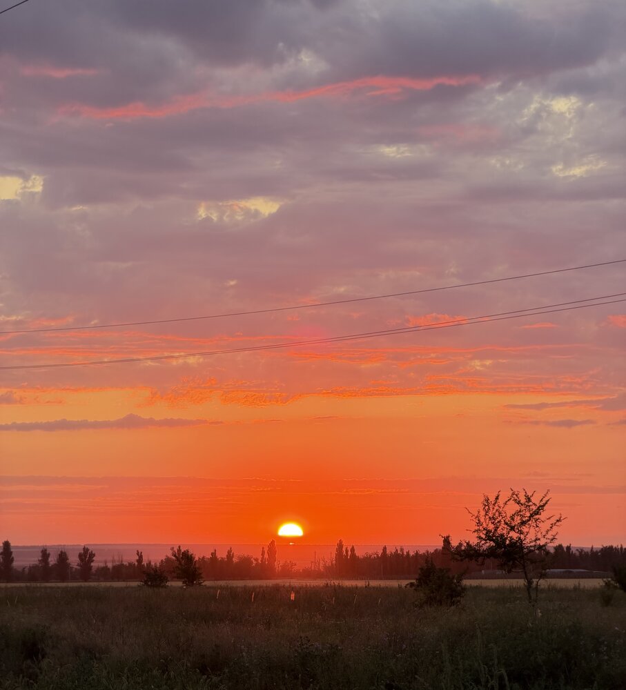 Photograph by Ирина Молибог