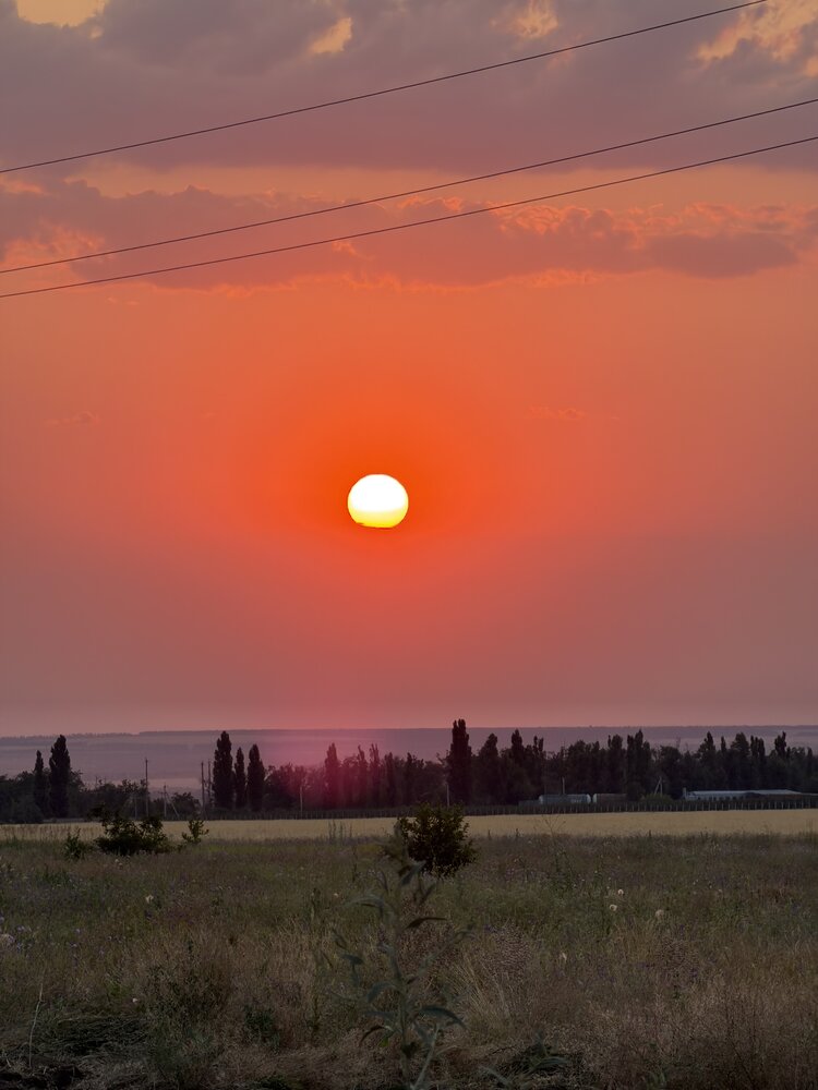 Photograph by Ирина Молибог