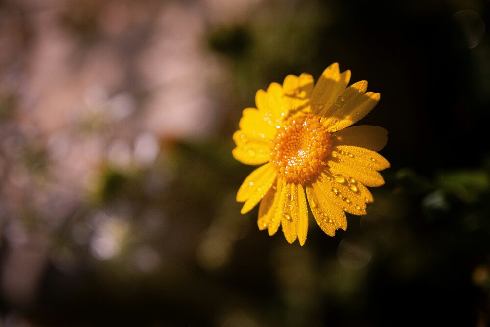 Photograph by Ayşegül Aytören