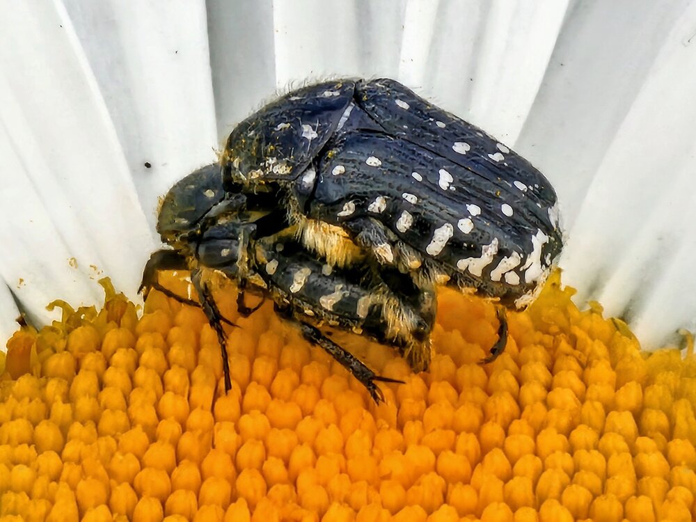 Photograph by Людмила Локтионова