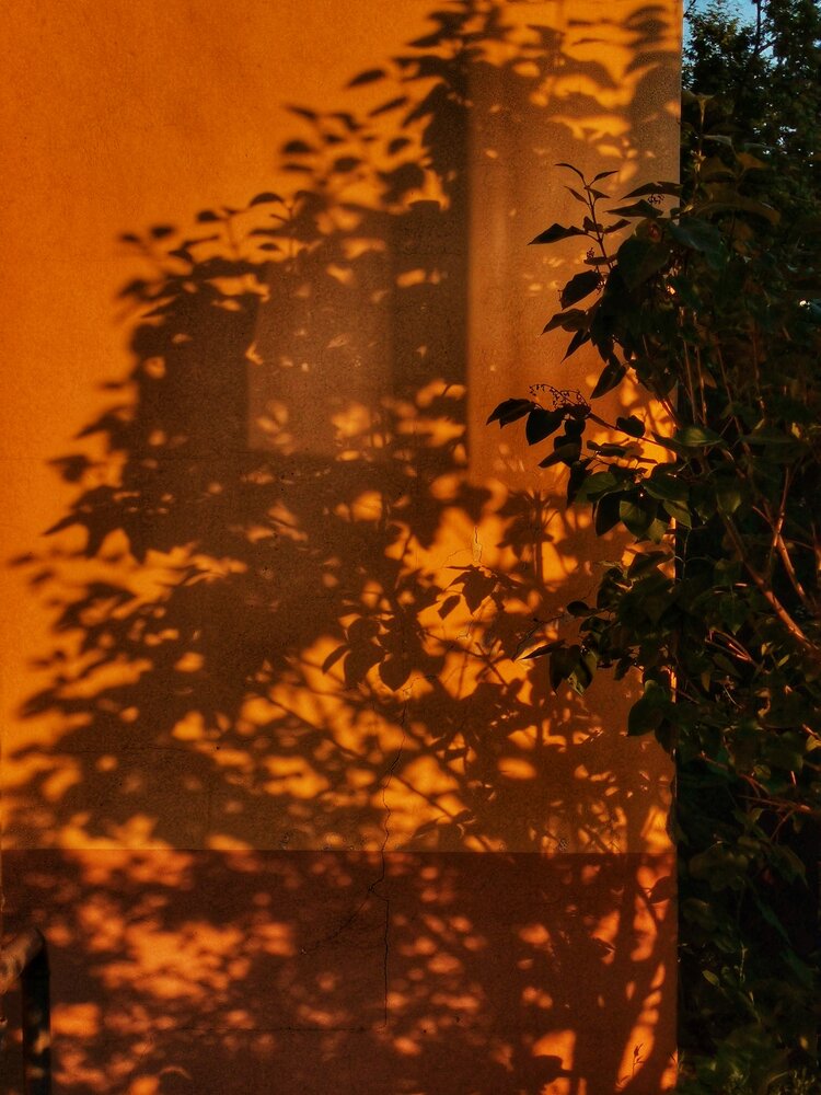 Photograph by Oxana Kostsova