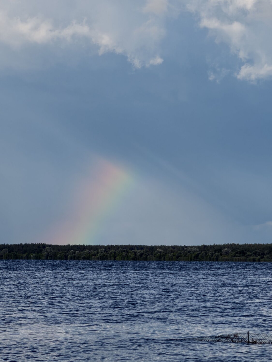 Photo #13975296