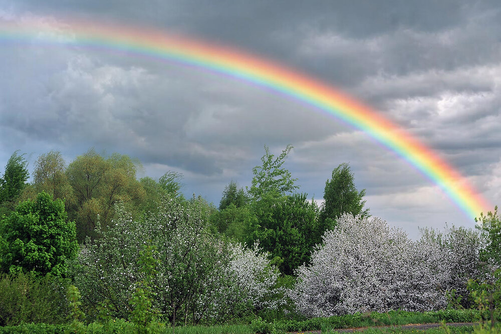 Photograph by Cергей Абакумов
