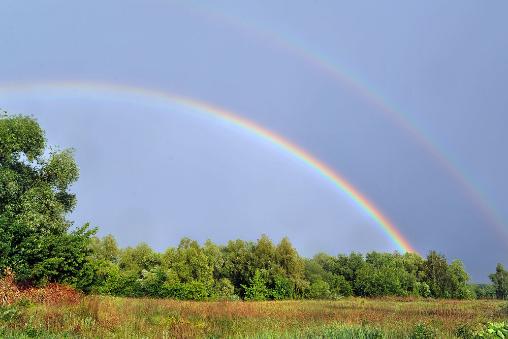 Photograph by Cергей Абакумов