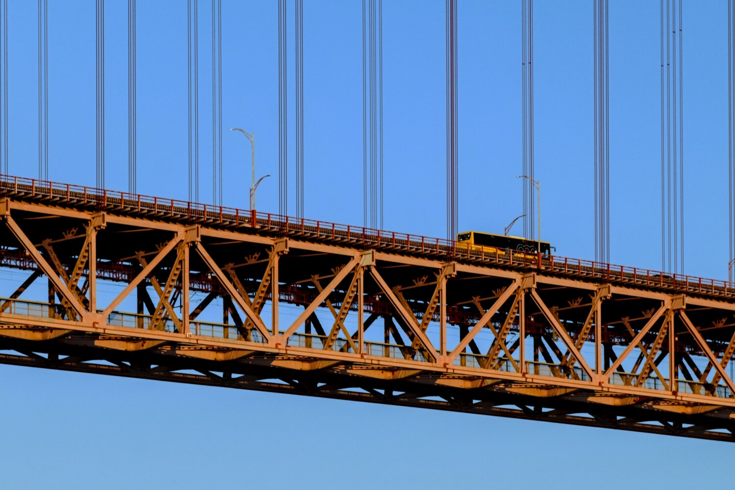 Photo #13975418