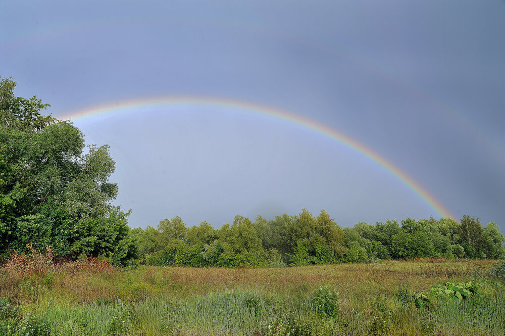 Photograph by Cергей Абакумов
