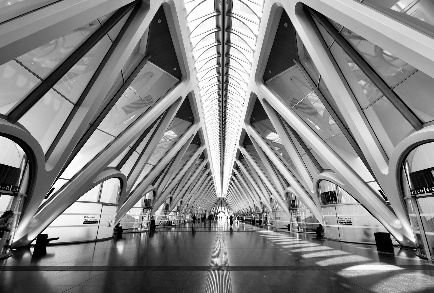 Lines and light
