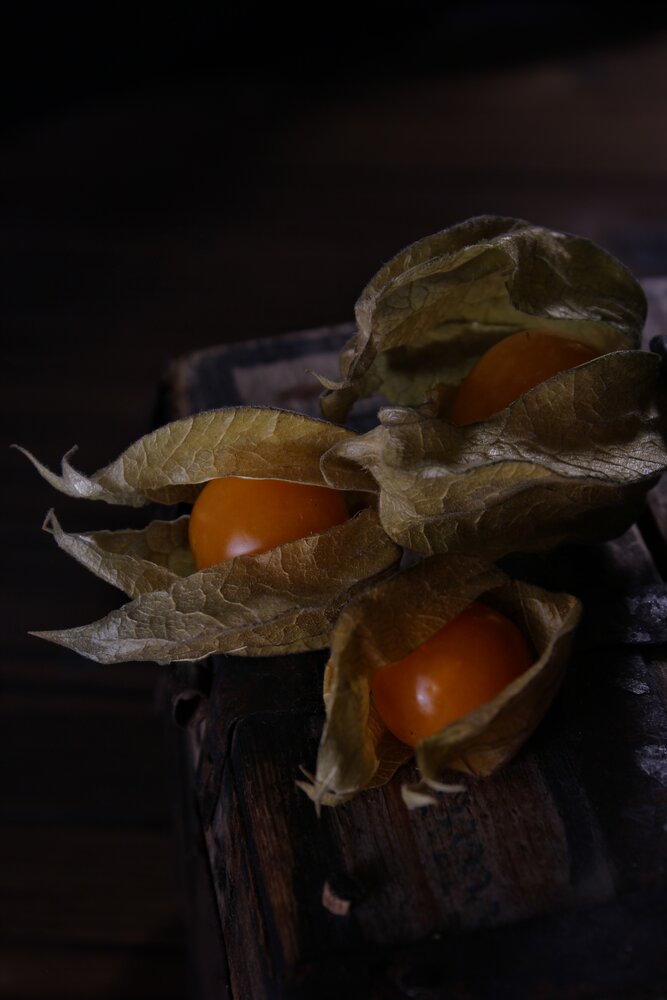 Photograph by Татьяна Орехова