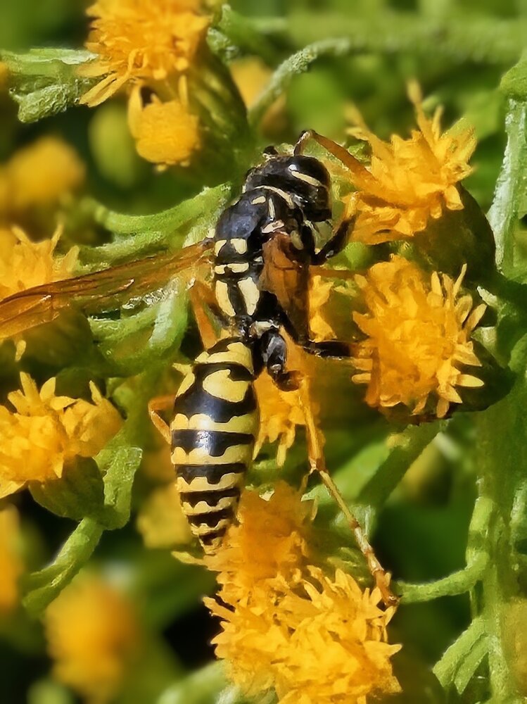 Photograph by Людмила Локтионова
