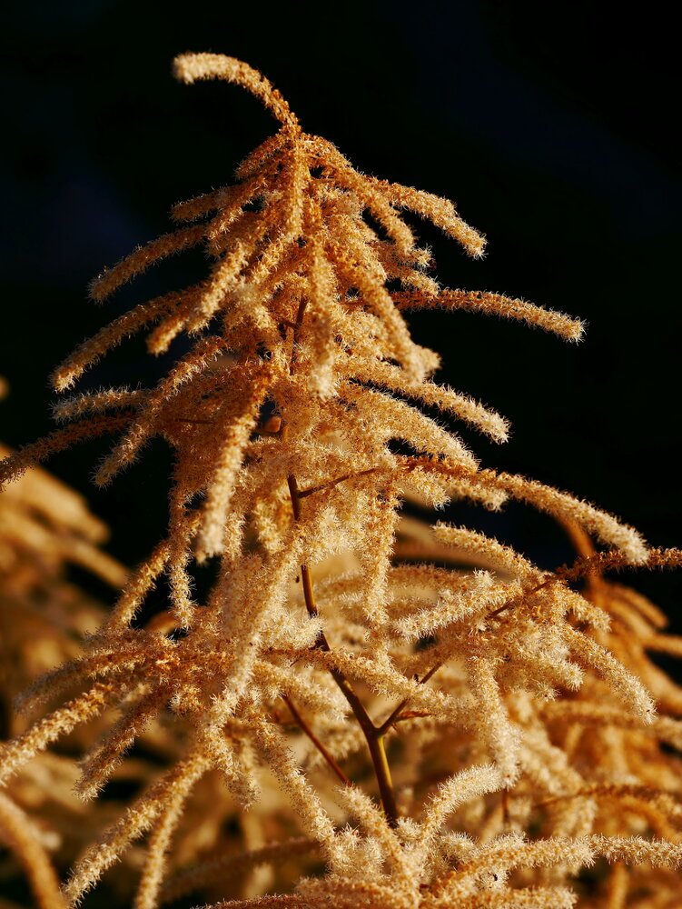 Photograph by Наталья Лобанова