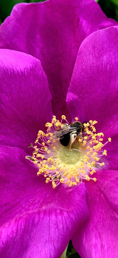 Photograph by Олеся Машлыкина