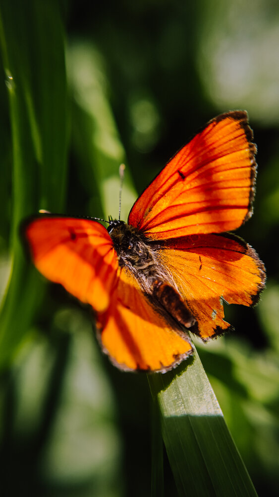 Photograph by Eugenia Blinova