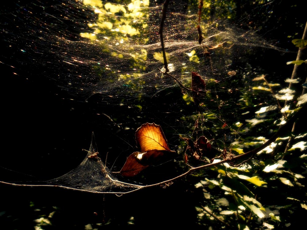 Photograph by Александр Поздняков