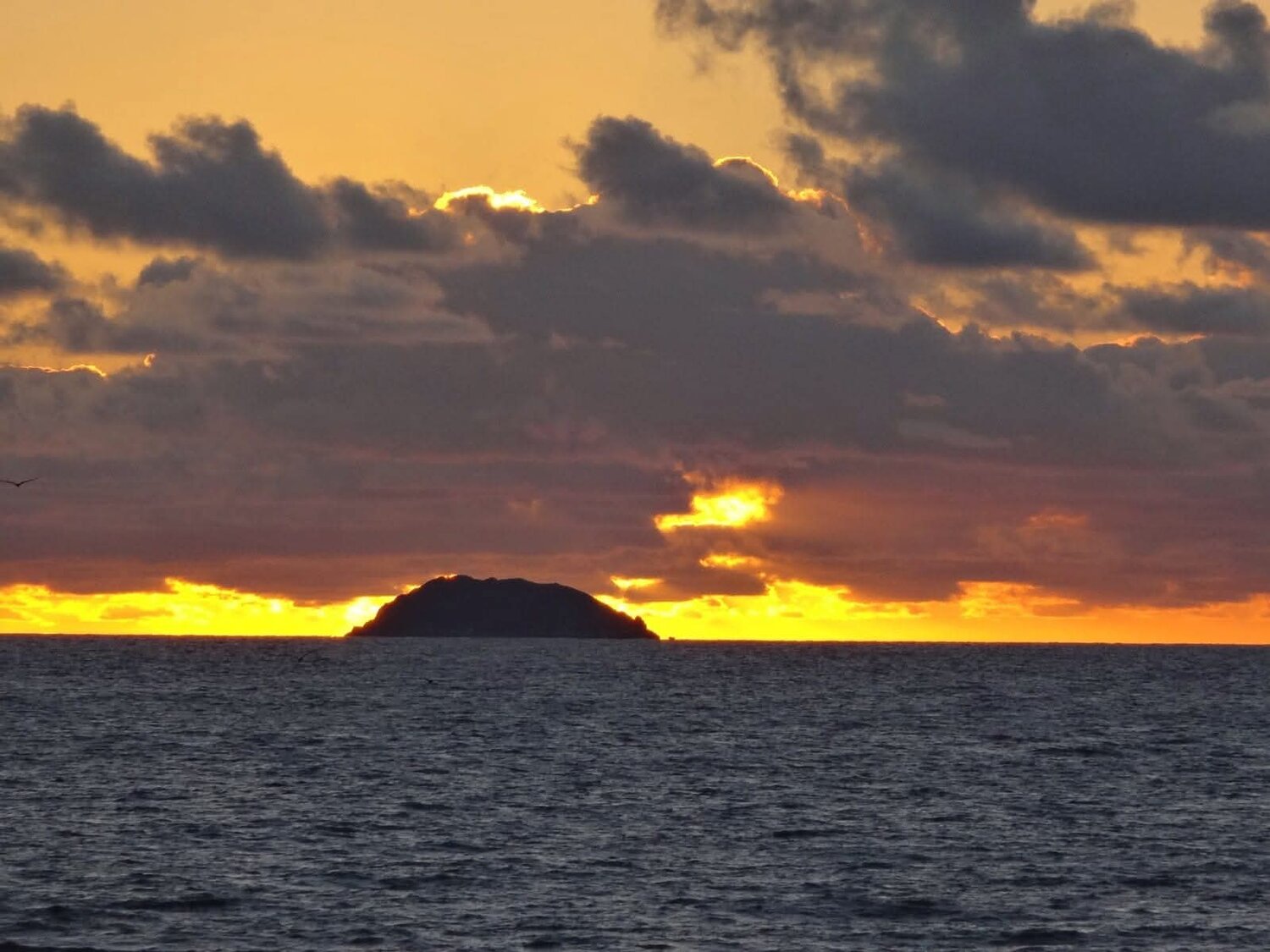 Photo #13975723