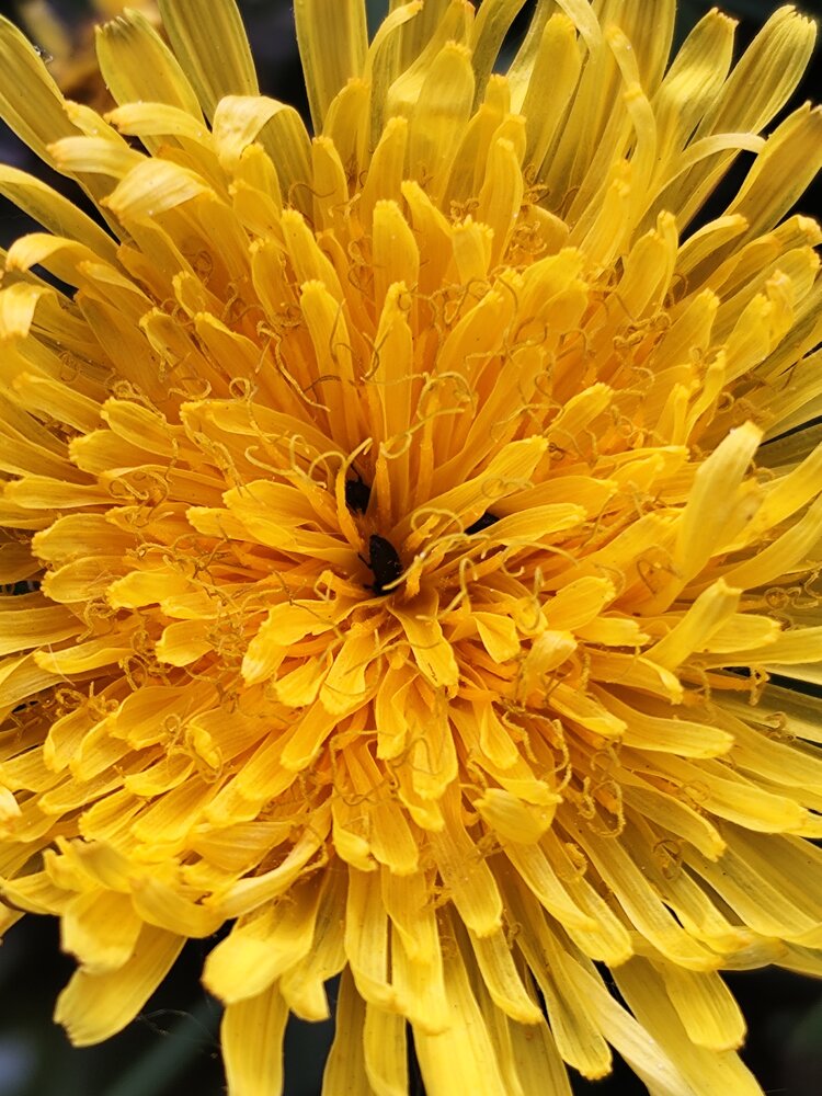 Photograph by Алёна